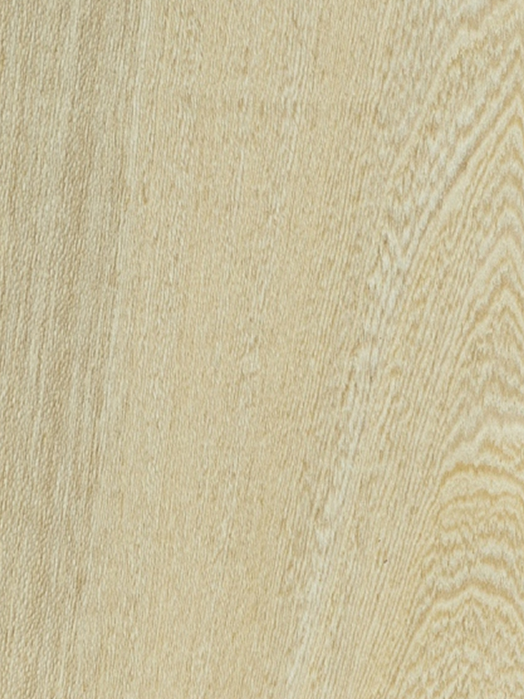 Dyed Wenge C/C 02